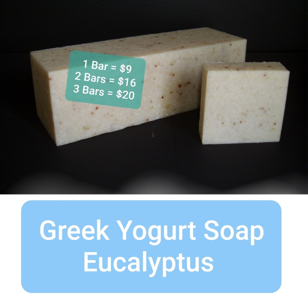 Homemade Eucalyptus Greek Yogurt Organic Soap - Picture 1 of 16